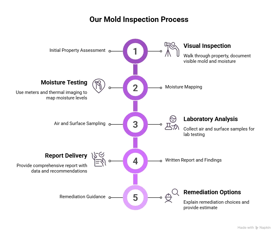 infographic Fort Lauderdale Mold Inspection